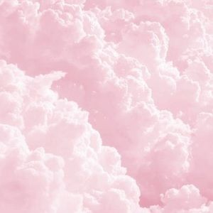 Meet your Posher, Shaneya